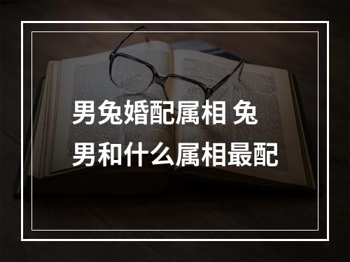 男兔婚配属相 兔男和什么属相最配