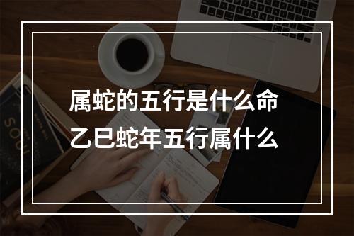 属蛇的五行是什么命 乙巳蛇年五行属什么
