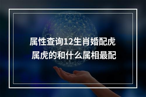 属性查询12生肖婚配虎 属虎的和什么属相最配