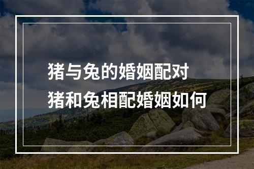 猪与兔的婚姻配对 猪和兔相配婚姻如何