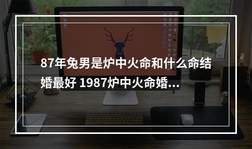 87年兔男是炉中火命和什么命结婚最好 1987炉中火命婚配