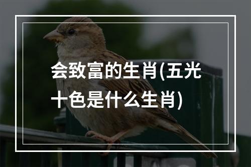 会致富的生肖(五光十色是什么生肖)