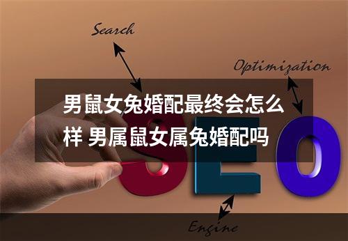 男鼠女兔婚配最终会怎么样 男属鼠女属兔婚配吗