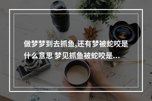 做梦梦到去抓鱼,还有梦被蛇咬是什么意思 梦见抓鱼被蛇咬是什么征兆