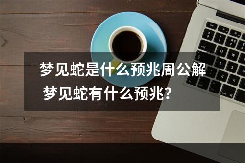 梦见蛇是什么预兆周公解 梦见蛇有什么预兆？