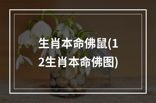 生肖本命佛鼠(12生肖本命佛图)