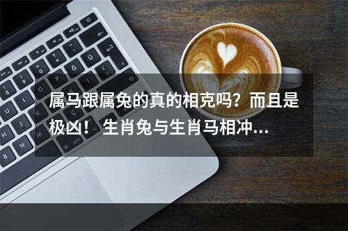 属马跟属兔的真的相克吗？而且是极凶！ 生肖兔与生肖马相冲吗