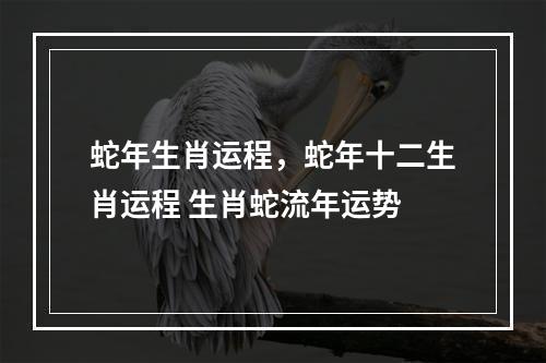 蛇年生肖运程，蛇年十二生肖运程 生肖蛇流年运势