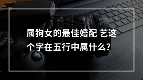 属狗女的最佳婚配 艺这个字在五行中属什么？