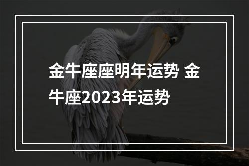 金牛座座明年运势 金牛座2023年运势