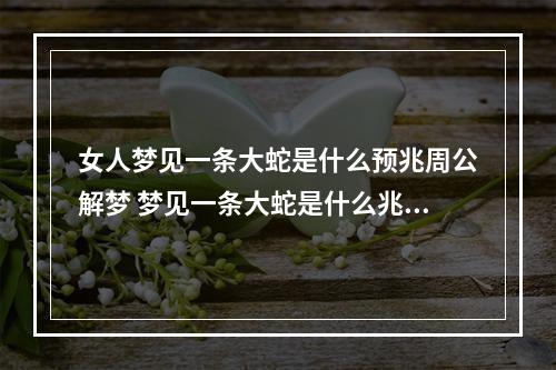 女人梦见一条大蛇是什么预兆周公解梦 梦见一条大蛇是什么兆头