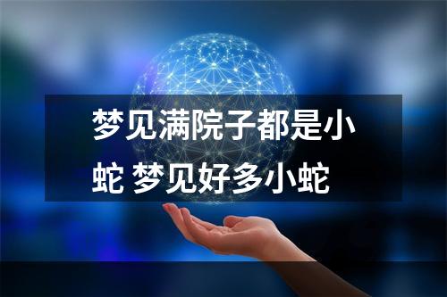 梦见满院子都是小蛇 梦见好多小蛇