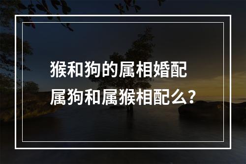 猴和狗的属相婚配 属狗和属猴相配么？