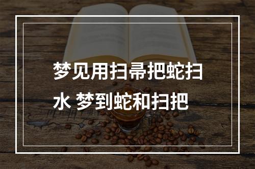 梦见用扫帚把蛇扫水 梦到蛇和扫把