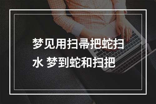 梦见用扫帚把蛇扫水 梦到蛇和扫把