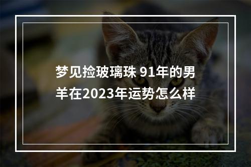 梦见捡玻璃珠 91年的男羊在2023年运势怎么样