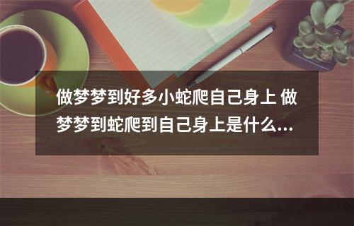 做梦梦到好多小蛇爬自己身上 做梦梦到蛇爬到自己身上是什么意思