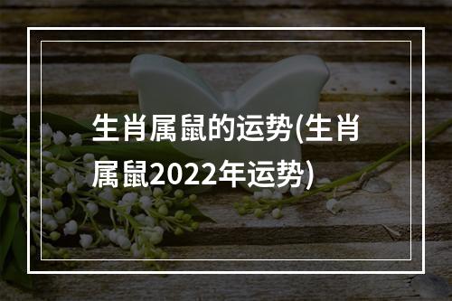 生肖属鼠的运势(生肖属鼠2022年运势)