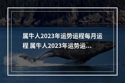 属牛人2023年运势运程每月运程 属牛人2023年运势运程