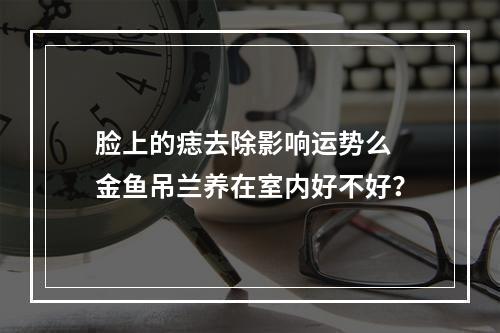 脸上的痣去除影响运势么 金鱼吊兰养在室内好不好？