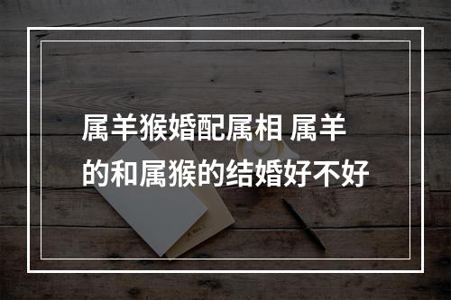 属羊猴婚配属相 属羊的和属猴的结婚好不好