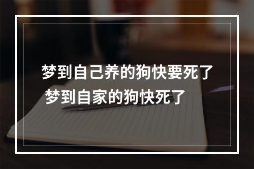 梦到自己养的狗快要死了 梦到自家的狗快死了