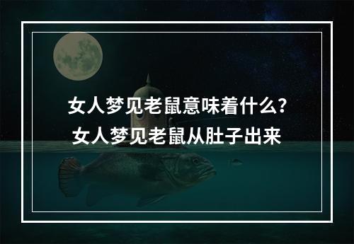 女人梦见老鼠意味着什么？ 女人梦见老鼠从肚子出来