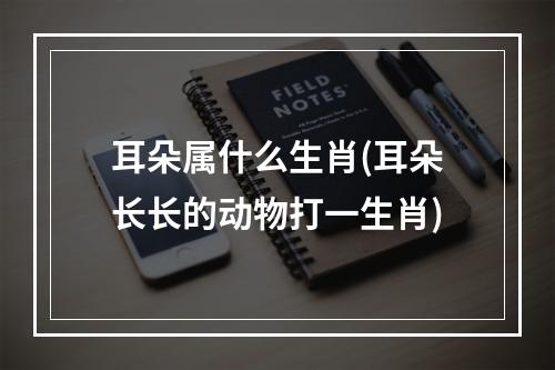 耳朵属什么生肖(耳朵长长的动物打一生肖)
