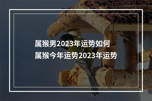 属猴男2023年运势如何 属猴今年运势2023年运势