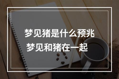 梦见猪是什么预兆 梦见和猪在一起