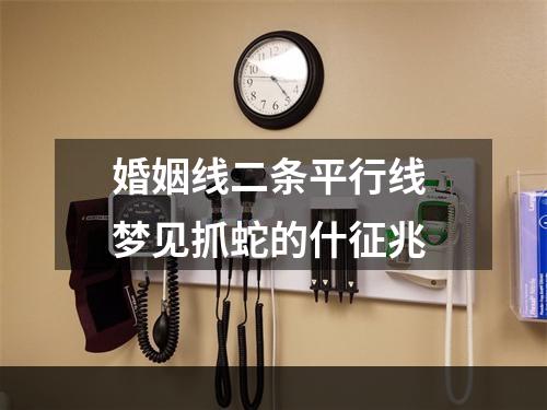 婚姻线二条平行线 梦见抓蛇的什征兆
