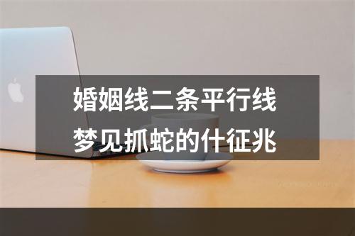 婚姻线二条平行线 梦见抓蛇的什征兆