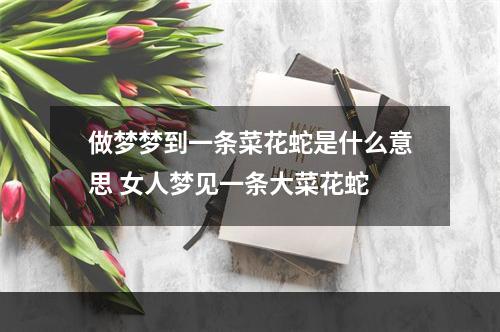 做梦梦到一条菜花蛇是什么意思 女人梦见一条大菜花蛇