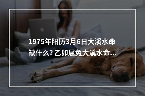 1975年阳历3月6日大溪水命缺什么? 乙卯属兔大溪水命五行