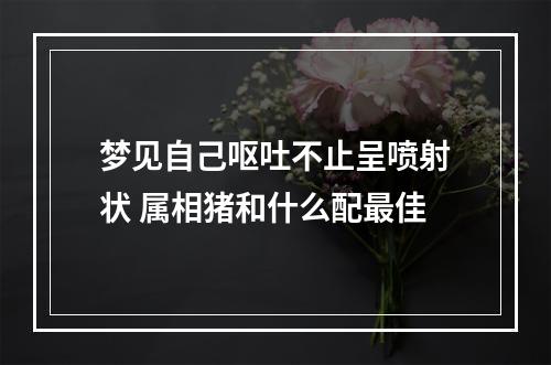 梦见自己呕吐不止呈喷射状 属相猪和什么配最佳
