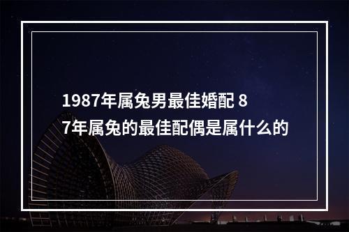 1987年属兔男最佳婚配 87年属兔的最佳配偶是属什么的