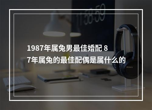1987年属兔男最佳婚配 87年属兔的最佳配偶是属什么的
