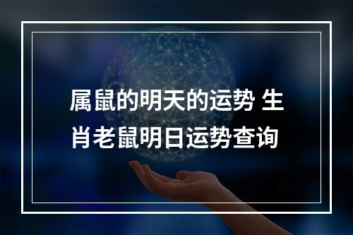 属鼠的明天的运势 生肖老鼠明日运势查询