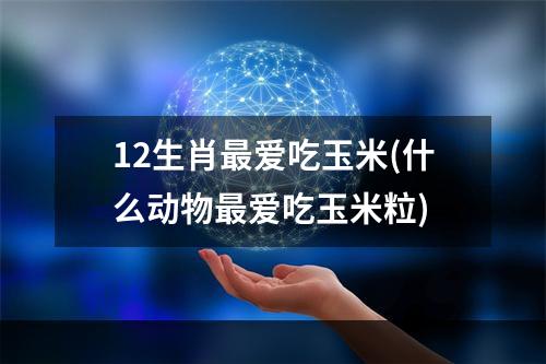 12生肖最爱吃玉米(什么动物最爱吃玉米粒)