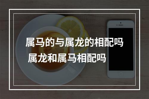 属马的与属龙的相配吗 属龙和属马相配吗