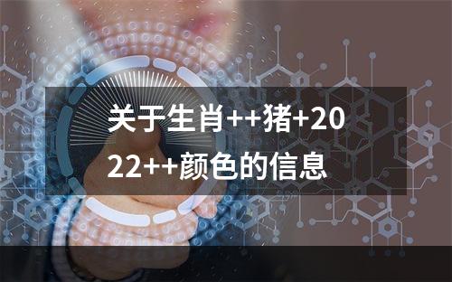 关于生肖++猪+2022++颜色的信息