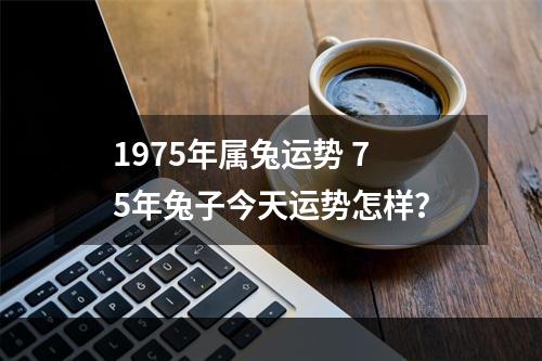 1975年属兔运势 75年兔子今天运势怎样？