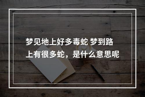 梦见地上好多毒蛇 梦到路上有很多蛇，是什么意思呢