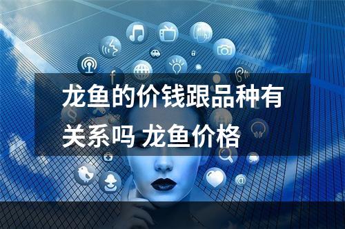 龙鱼的价钱跟品种有关系吗 龙鱼价格