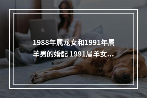 1988年属龙女和1991年属羊男的婚配 1991属羊女和1988属龙男能婚配吗