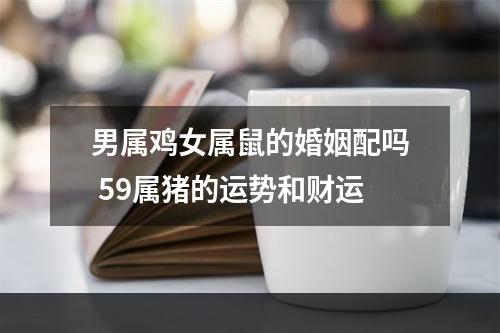 男属鸡女属鼠的婚姻配吗 59属猪的运势和财运