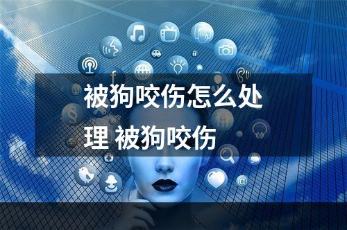 被狗咬伤怎么处理 被狗咬伤