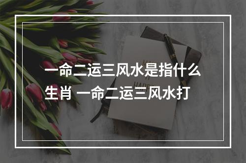 一命二运三风水是指什么生肖 一命二运三风水打