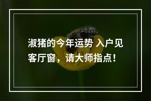 淑猪的今年运势 入户见客厅窗，请大师指点！