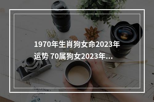 1970年生肖狗女命2023年运势 70属狗女2023年运势